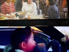 -枫花园汽车电影院(朝阳公园店)