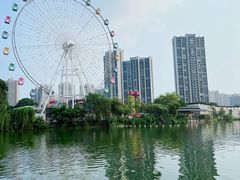 -飞来湖湿地公园