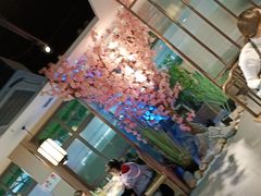 -野妹火锅(龙岗店)