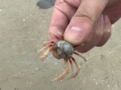 -北海金海湾红树林生态旅游区