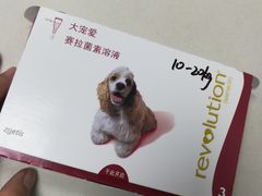 -芭比堂动物医院·心脏专科·夜诊·吉雅分院