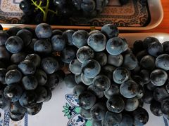 -白鹿原葡萄主题公园