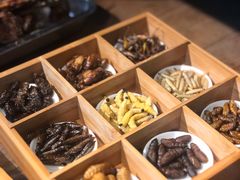 -昆虫窝子·特色云南菜(拓东路总店)