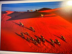 -罗红摄影艺术馆