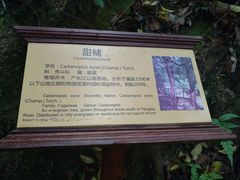 -天台山赤城山景区
