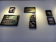 -上海野生动物园老虎餐厅