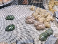 -老潮兴粿品(龙北店)