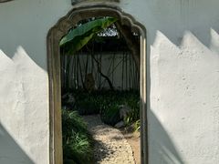 -秋霞圃