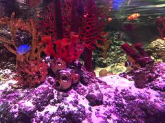 -沈阳海洋探索中心