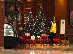 -成都世纪城假日酒店-西楼