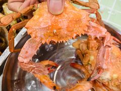 -四海蒸鲜蒸汽海鲜自助(北戴河店)