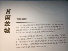 -日照市博物馆