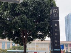 -广西壮族自治区博物馆