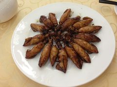 笔管鱼-海岛渔村大酒店(云霄路店)