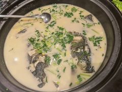 天目湖鱼头豆腐煲-梁溪河畔·吉府花园(南长街南下塘店)
