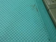 android_upload_pic-宁波九龙湖开元度假村
