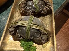 -牛New寿喜烧(金鹰世界店)