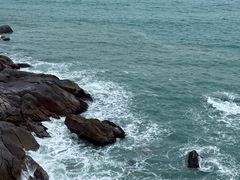 -广东惠东海龟国家级自然保护区