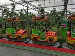 -南宫五洲植物乐园