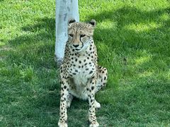 -北京野生动物园