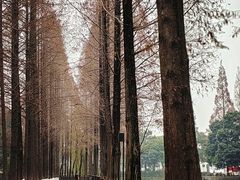 -蜀绣公园
