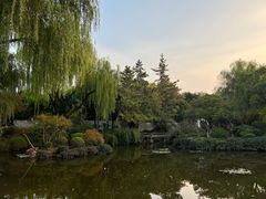 -秋霞圃