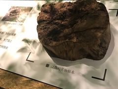 -中国沉香文化博物馆