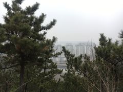 -北岭山森林公园