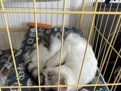 -青春加萌照相馆