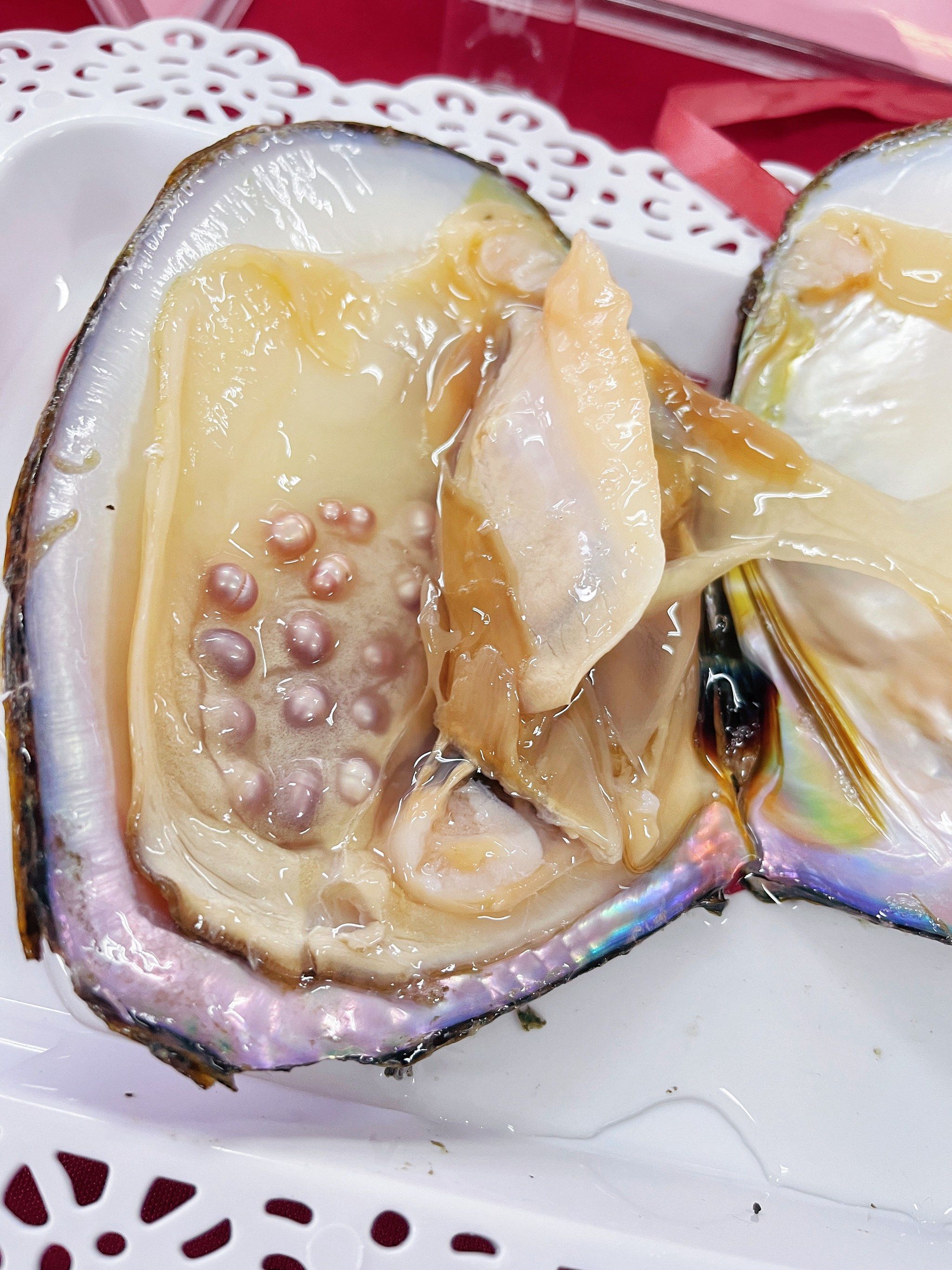 第一次开蚌,好多紫珍珠‼️