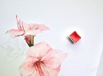 一组唯美清新的水彩花卉作品