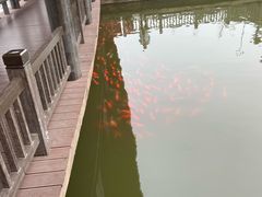 -枫香湖儿童公园