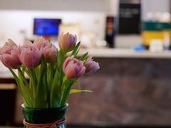 -之悦咖啡馆(新星宇·之洲店)
