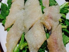 金砂阿洲鱼册店-金砂阿洲鱼册店