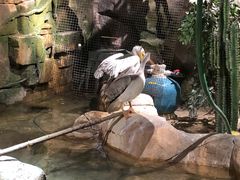 -zoonana室内动物园(东方福来德店)