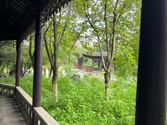 -八大山人梅湖景区