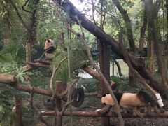 -新华文创·光的空间