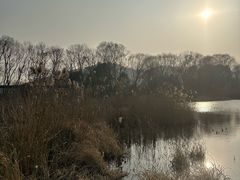 -西湖风景区-江洋畈生态公园