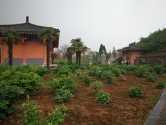 -邙山陵墓群