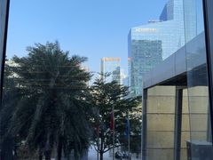 -大中华希尔顿酒店-念自助餐·海南美食·三文鱼