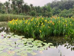 -华南国家植物园-售票处