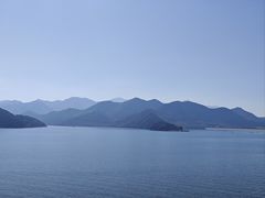 -望湖烤鱼