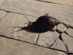 -三亚亚龙湾金棕榈度假酒店