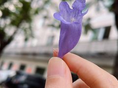 -同福社