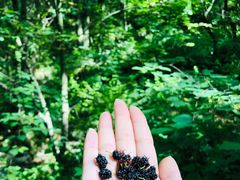 -陕西省红河谷森林公园