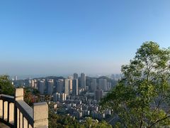 -板樟山森林公园