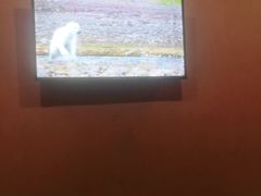 -康悦沐足城(亿方店)