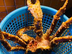 -荔城生鲜盛宴(番禺旗舰店)
