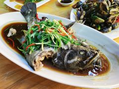 清蒸青斑鱼-众味海鲜大排档·活海鲜·潮汕味(南澳店)