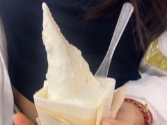 -野人先生Gelato(上海长宁龙之梦店)